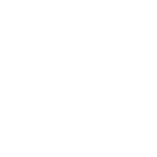 Google Plus icon